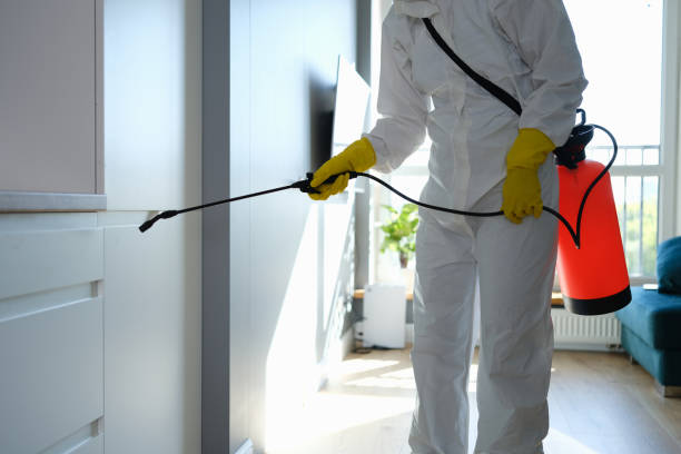 Best Professional Mold Removal  in Glen Rock, NJ