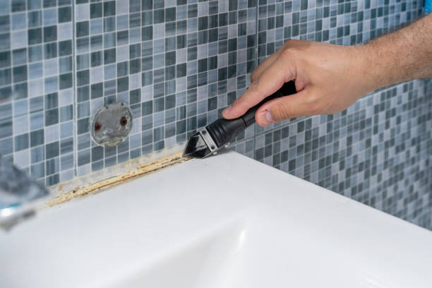 Best Local Mold Removal Service  in Glen Rock, NJ