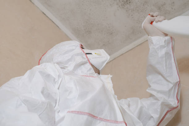 Best Mold Damage Repair  in Glen Rock, NJ